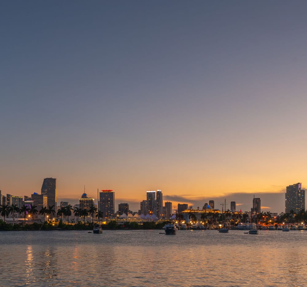 Miami skyline on the water